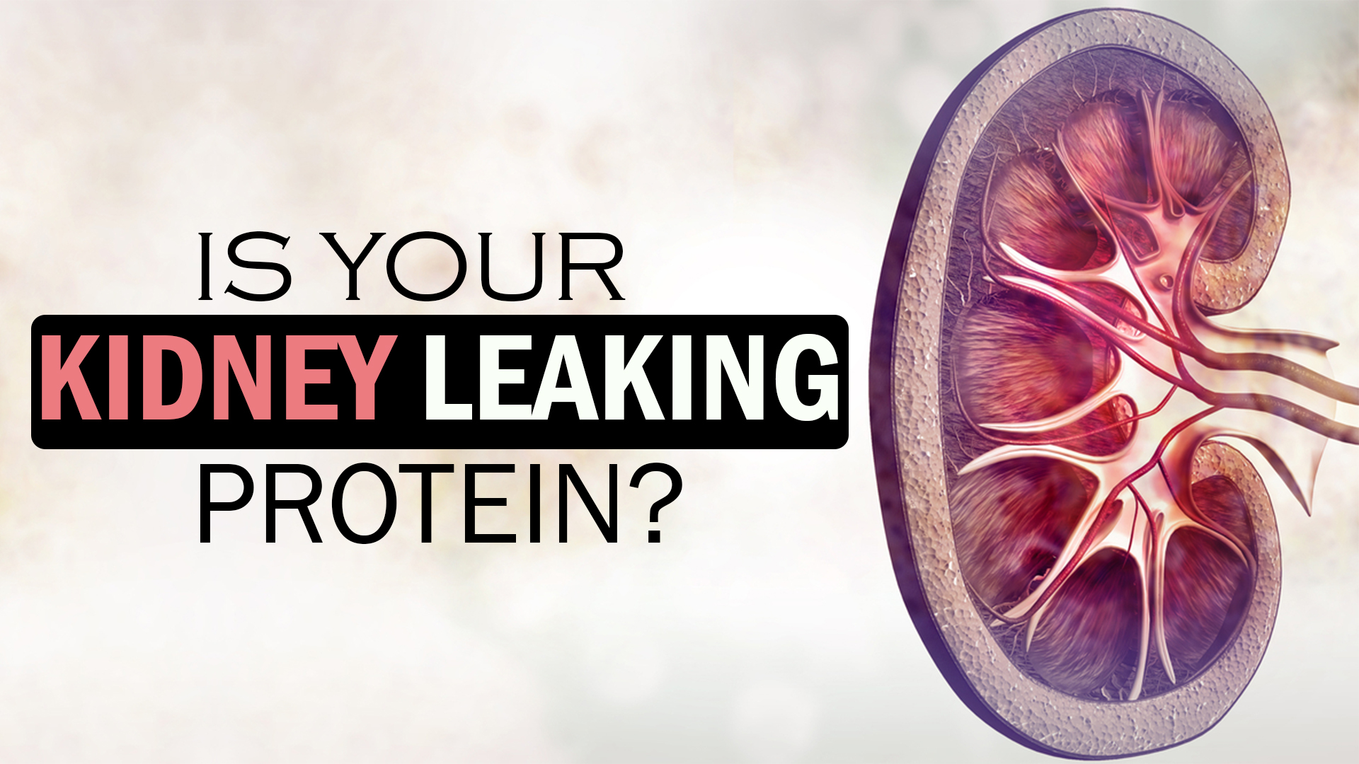 is-your-kidney-leaking-protein-kidney-disease-treatment